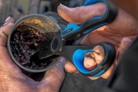 PRESTON Worm Scissors