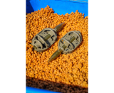 PRESTON IN-LINE DURA FLAT METHOD L