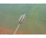 PRESTON ICS XL STEMS