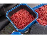 Preston 4 Pint Bait Tub