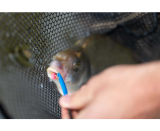 Preston Floater Disgorger Baiting Needle