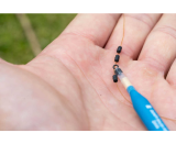 Preston Stopz Small oder X-Small