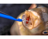 Preston Bander Disgorger Twin Pack