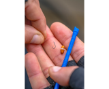 Preston Bander Disgorger Twin Pack