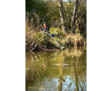 Sonubaits Supercrush Mega Carp Method Mix Green